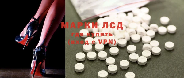 ГАЛЛЮЦИНОГЕННЫЕ ГРИБЫ Вяземский