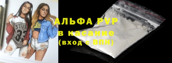 ГАЛЛЮЦИНОГЕННЫЕ ГРИБЫ Вяземский